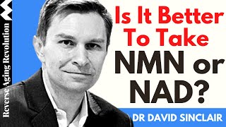 IS IT BETTER TO TAKE NMN OR NAD? | Dr David Sinclair Interview Clips