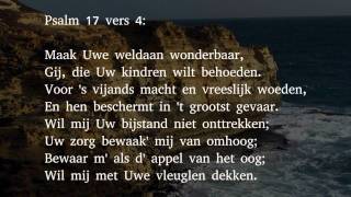 Psalm 17 vers 3, 4 en 8 - Ik zet mijn treden in Uw spoor