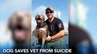 New Jersey veteran says service dog saved his life