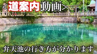 【別府弁天池】弁天池の行き方はこちらの動画をご覧ください。