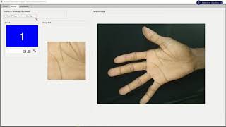 Palmprint recognition Demo