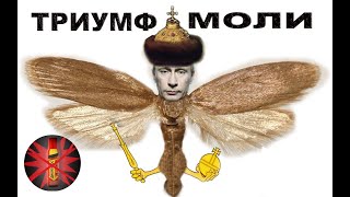 Путин «Триумф моли» и взрывы домов в 1999 году. Путинизм как он есть. #Путин #криминал #коррупция.