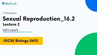 IGCSE Biology 9-1 (0610 / 0970) | 16.2 Sexual Reproduction | O Level | A Level | Paper 1 | Paper 2