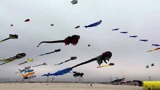 Bnaider Kite Festival in Kuwait