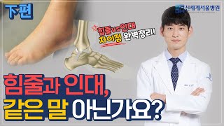 힘줄과 인대, 같은 말 아닌가요? 힘줄vs인대 차이점 완벽정리! (下편)