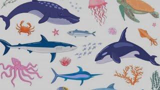 Sea animals| Sea animals sound 🔊| Sea animals for kids| கடல் வாழ் உயிரினங்கள்| kadalvazh uyirinam