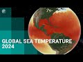 A year of ocean temperature - 2024