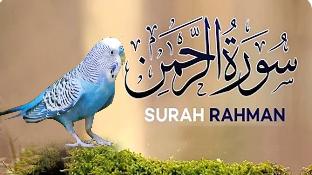 Surah Rahman - Beautiful And Heart Trembling Quran Recitation By Qari ...