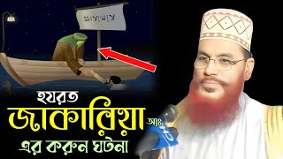 হযরত জাকারিয়া আঃ এর করুন ঘটনা।। আল্লামা দেলোয়ার হোসেন সাঈদি Dalwar Hossain Saidi 2025