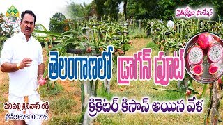 Dragon Fruit Farming in Telangana | Success Story | Vanipally Srinivas Reddy | Contact - 9676000776