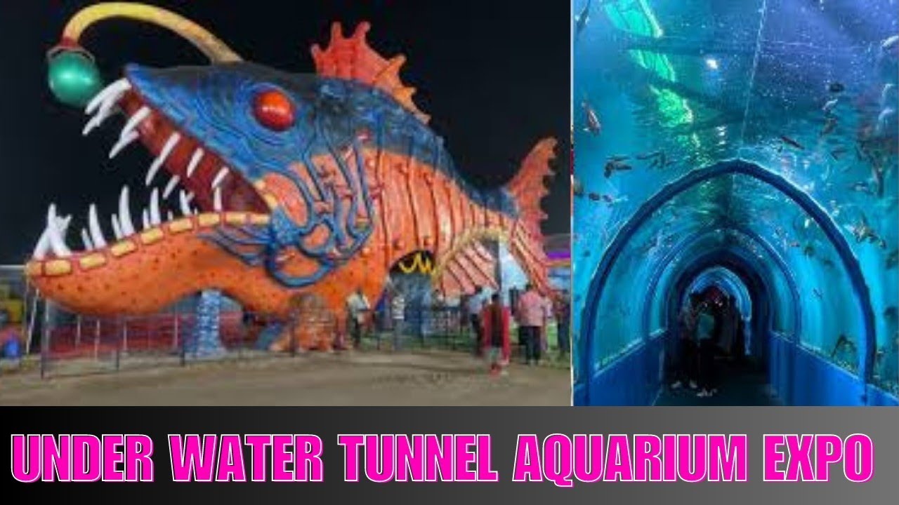 Under Water Tunnel Aquarium Expo In Hyderabad - YouTube