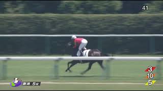 2歳新馬戦 / リバティアイランド