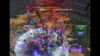 リネレボ要塞大戦２０人ぷりんvsdrankardsさん2戦目