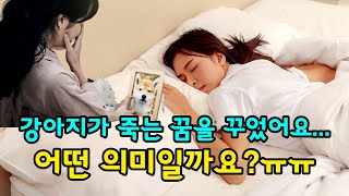 강아지 꿈 해몽 사랑하는 반려견이 내 꿈에 출연했나요? 꿈 해몽 26가지