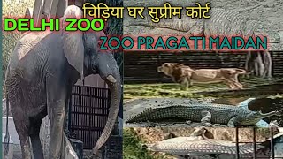 चिड़ियाघर दिल्ली  । viral tiger 🐯 videos । प्रगति मैदान न्यू दिल्ली । full video viral videos ।