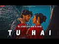 Tu Hai | Official Music (slowed+reverb) | Darshan Raval | Neha Sharma | Prakriti Giri | Naushad Khan