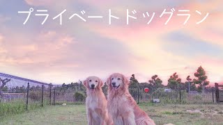 ドッグランを自宅に作った理由！病と闘う愛犬のため！！！