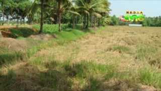 Drought-hit Kerala villages at serious risk of food scarcity