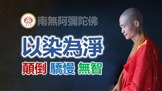 以染為淨  顛倒 驕慢 無智｜淨宗法師開示【CC Available】