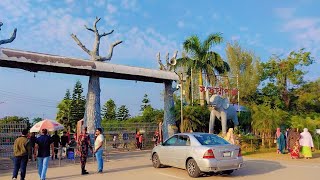 এশিয়ার সর্ববৃহৎ সাফারি পার্ক ভ্রমণ। ( Part - 1)🥰🥰 #safaripark #travelvlog #familytime #vairalvideo