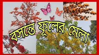 Flower season spring#ফুলের ঋতু বসন্ত#