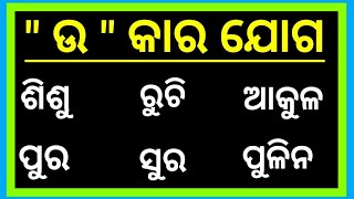 barnabodha book patha||barnabodha book reading||barnabodha||odia matra phala||book reading||