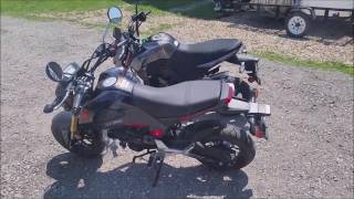 2017 Kawasaki Z125 Pro  vs Honda Grom Comparision