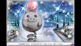 あけましておめでトマト🐻【ポケモンSV】