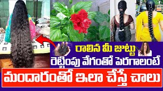 మందారం తో ఇలా చేస్తే చాలు రాలిన మీ జుట్టు రెట్టింపు వేగంతో పెరుగుతుంది || hair growth tips in telugu