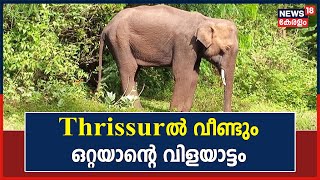 Thrissur ആനമല റോഡില്‍ തലങ്ങും വിലങ്ങും  ഭീതി വിതച്ച് ഒറ്റയാന്റെ വിളയാട്ടം | Kerala News Today