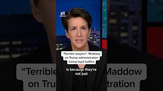 'Terrible lawyers': Maddow on Trump administration losing legal battles