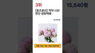 2023년 상반기 작약 추천 TOP 5