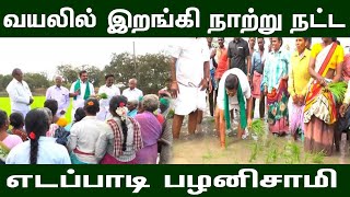 எடப்பாடிபழனிசாமி வயலில் நெல்நட்டவீடியோ|cm Eadapadipalanisamy  Agri work video |admk|eps