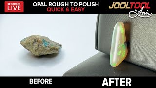 Opal Rough to Polish - Quick & Easy on the JOOLTOOL - LIVE with Anie