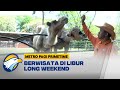 Kebun Binatang Destinasi Favorit Warga Surabaya [Metro Pagi Primetime]