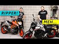 NEW Yamaha MT03 vs KTM Duke 390! Which is BEST?