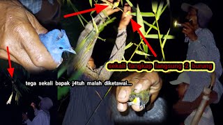 Menangkap burung dimalam hari bukan hanya burung yang kami temukan tapi banyak juga ular