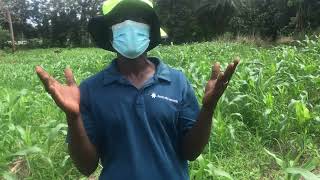 RFCI Pesticides are Poisonous Protect Yourself