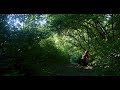 juuichi gale in kyoto 4k with nature sound