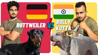 Rottweiler Vs Bully Kutta | Indian Dog vs German Dog | Dog vs Dog In Hindi