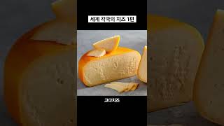 세계 각국의 치즈 1편 #치즈