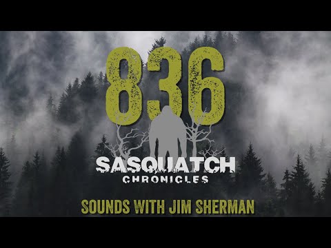 SC EP:836 Sounds With Jim Sherman