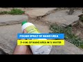 iffco nano urea how to use and price