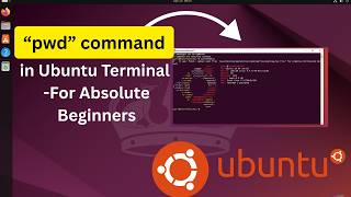 Linux pwd Command Explained with Examples | Ubuntu Terminal Basics