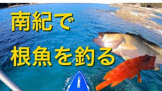 南紀でSUPフィッシング、根魚が豊漁