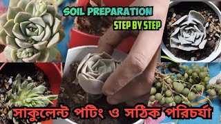 সাকুলেন্টের সঠিক পরিচর্যা - মরবে না আর একটি গাছ / Complete care of Succulent / Roof Gardening