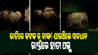 ରାତିରେ କଟକ ରୁ ବାଙ୍କୀ ଯାଉଥିଲେ ସାବଧାନ !    ରାସ୍ତାରେ ହାତୀ ପଲ୍ଲ