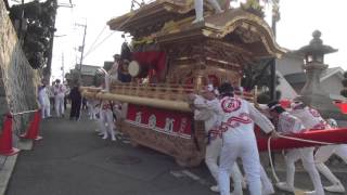 2016南河内郡太子町（科長神社）西町、入魂式⑫曳き唄・お披露目曳行（平成28年2月28日）