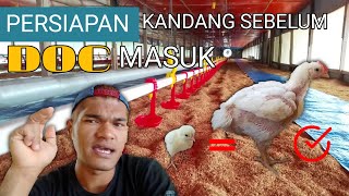 Persiapan Kandang Sebelum DOC Masuk