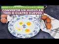 ¡INCREÍBLE! MINIHUEVOS CONGELADOS FRITOS | Como obtener varios minihuevos de un solo huevo